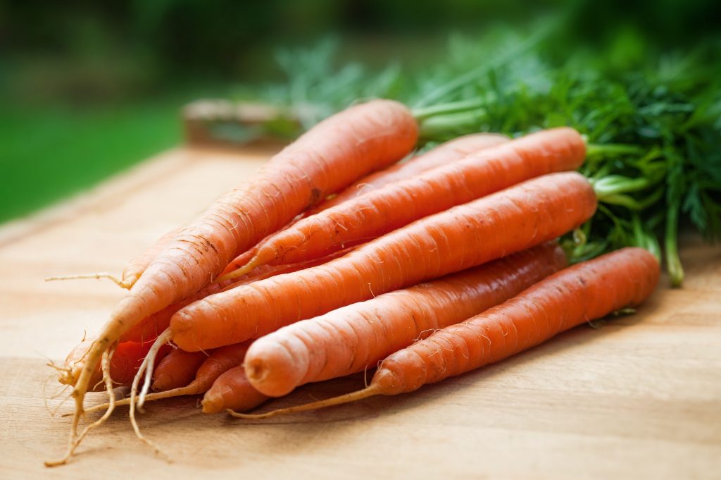 agriculture-carrots-close-up-143133